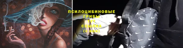 прущие грибы Алексеевка